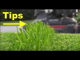 I chose a lawn in crown point, indiana to work on throughout the. Final Milorganite App Gcf Next Results Mowing Youtube