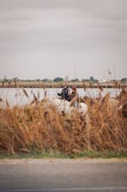 Epingle Par Les Maisons D Arles Sur Travel Ideas Camargue En 2020 Camargue
