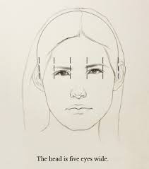 How to proportion a face. 5 Proportions Of The Face To Know