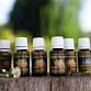 Tru Elements Essence Sound Meditation Avon   — Tru event image