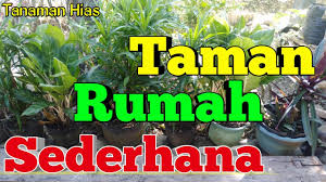 Tanaman hias taman depan rumah minimalis aneka macam bunga. Tanaman Hias Depan Rumah Sederhana Youtube
