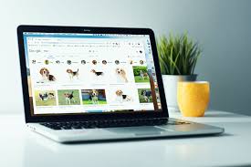 How To Save Pictures From Google Google Image Search Google Apps Google Search Results