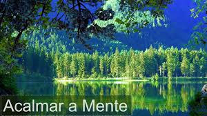 Vídeo hd com música e sons da natureza, para dormir profundamente e meditar. Acalmar A Mente Inquieta Musica Relaxante Para Tranquilizar Pensamentos Acelerados Descontrair Youtube