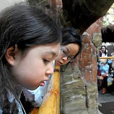 Minnesota Zoo helps students learn about animals in other languages