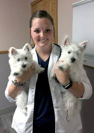 Our entire healthcare team is committed to providing personal attention to the unique concerns of each individual pet owner. Home Northwest Animal Hospital