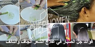 فوائد جل الصبار للشعر الجاف والمتقصف Top Chef Women