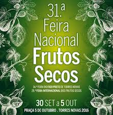 Résultat de recherche d'images pour "figo preto de torres"