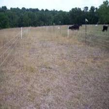 How Many Head Of Livestock Field Will Your Support Mother Earth News Grazing Management Livestock Cattle Farming