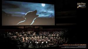 Click room management, then zoom rooms in the account profile tab, under background image for zoom rooms, click upload new image. Try Out Our New Harry Potter Themed Video Call Backgrounds Wizarding World