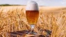 Beer Maze- XUL Takeover