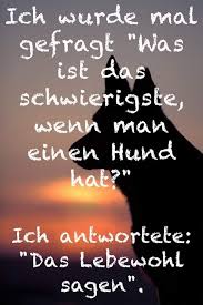 Pin Auf Rund Um Den Hund