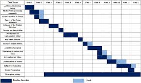 Gantt Chart Of Work Plan Of 12 Weeks Download Scientific