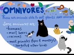 Pin By Afton Ferrand On Webquest Possibilities Omnivores Activities Kindergarten Science Homeschool Science