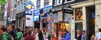 Good quality and friendly staff 🙂 julia senpai 08/24/2020 always a good time dean hughes 08/23/2020. What About The Coffeeshops In Amsterdam Amsterdamtourtist Info