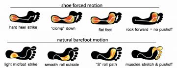 Image result for the natural foot roll through