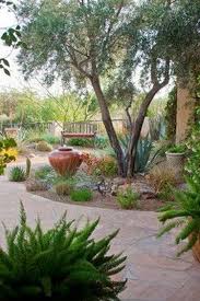 Pin By Susie On Phoenix Remodel Desert Landscape Design Arizona Backyard Landscaping Landscape Design