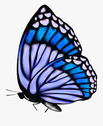 Chasing butterflies animated gif flowers blue butterflies spring happy spring spring gif. Butterflies Png Butterfly Blue Butterfly Gif Png Free Transparent Clipart Clipartkey