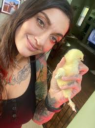 Homemade chicken enchiladas for family dinner