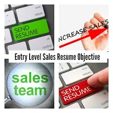 Reviewing a few examples of good resume headlines will help you when coming up with your own. Sample Entry Level Sales Resume Objective