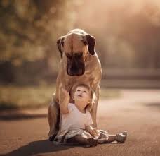 孩子的大玩偶就是牠 大狗與萌孩們的療癒日常 萌 小朋友 孩子 大狗 療癒 可愛 妞新聞niusnews big dogs dogs and kids