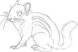 At the ends of the toes, draw short but sharp claws. How To Draw A Chipmunk Step By Step Drawing Guide By Dawn Dragoart Com