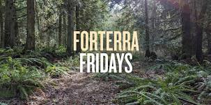 Forterra Fridays: November 2026