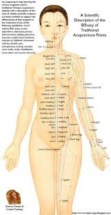 28 Best Acupuncture Images Acupuncture Acupuncture Points