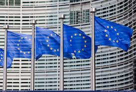 Znalezione obrazy dla zapytania european parliament photo