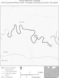 Image result for Fern Green 1994 Reliant