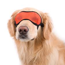 New Ils2 And Sidecar Dog Goggles By Doggles Baxterboo #24,029 in pet supplies (see top 100 in pet supplies). ils2 and sidecar dog goggles by doggles