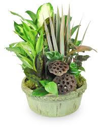 Donald Rowley Boyce Obituary July 12, 2024