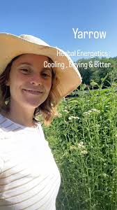 🌿✨ Herb Spotlight: Yarrow (Achillea millefolium) ✨🌿, Did you know that  yarrow has been used for centuries in traditional medicine for its  versatile healing properties? Here’s why this incredible herb ...