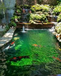 Koi Pond Fish Pond Gardens Koi Pond Design Ponds Backyard