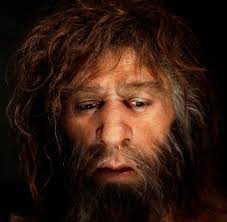 Neanderthals are an extinct species or subspecies of archaic humans who lived in eurasia until about 40,000 years ago. Ancient String Provides Further Evidence Of Neanderthals Talents The Japan Times