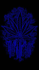 Looking for the best wallpapers? Crip Wallpapers On Wallpaperdog