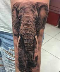 30 Hervorragende Elefanten Tattoos Und Ihre Bedeutung Elephant Tattoos Realistic Elephant Tattoo Elefant Tattoo