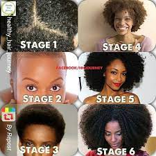 The growth of every hair strand happens in four stages: 13 Natural Hair Stages Ideas Natural Hair Journey Natural Hair Tips Natural Hair Inspiration