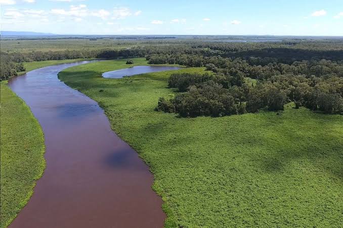 Projeto contra amplia&ccedil;&atilde;o de &aacute;reas de reserva no Pantanal amea&ccedil;a pesca e turismo, alertam especialistas