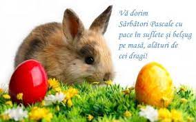 O felicitare de pasti pentru bunica dau coronita. Imagini Pentru Felicitari De Paste Easter Bunny Pictures Easter Images Happy Easter Quotes