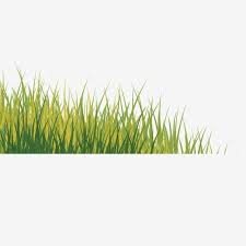 planta vegetacion verde maleza imagenes predisenadas de hierba planta vegetacion png y psd para descargar gratis pngtree maleza plantas hierbas