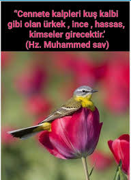 Hedef 2023 Adli Kullanicinin Hadis Panosundaki Pin Islam Guzel Soz Dualar