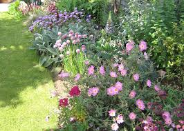 A small space shouldn't be a drawback in growing a garden. Small Garden Border Designs Windowsunity