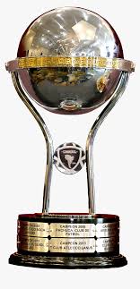 Celebración independiente del valle campeón copa sudamericana 2019. Copa Libertadores Png Transparent Png 2468305 Png Images Pngio
