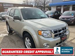 Image result for Gold Leaf 2010 Escape