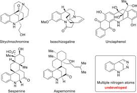 Image result for Schizozygia