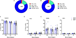 frontiers reduced medial prefrontal control of palatable