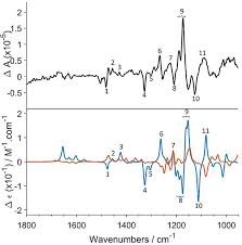 Image result for Millettia oblata