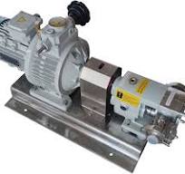 Amazon.com: INTBUYING Stainless Steel Rotary Lobe Pump 800L ...