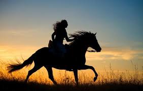 Equitazione