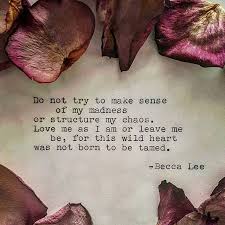 Instagram Post By Poetry Prose Quotes Beccaleepoetry Words My Love Wild Hearts